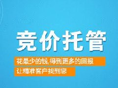 解析百度竞价账户优化的常用方法